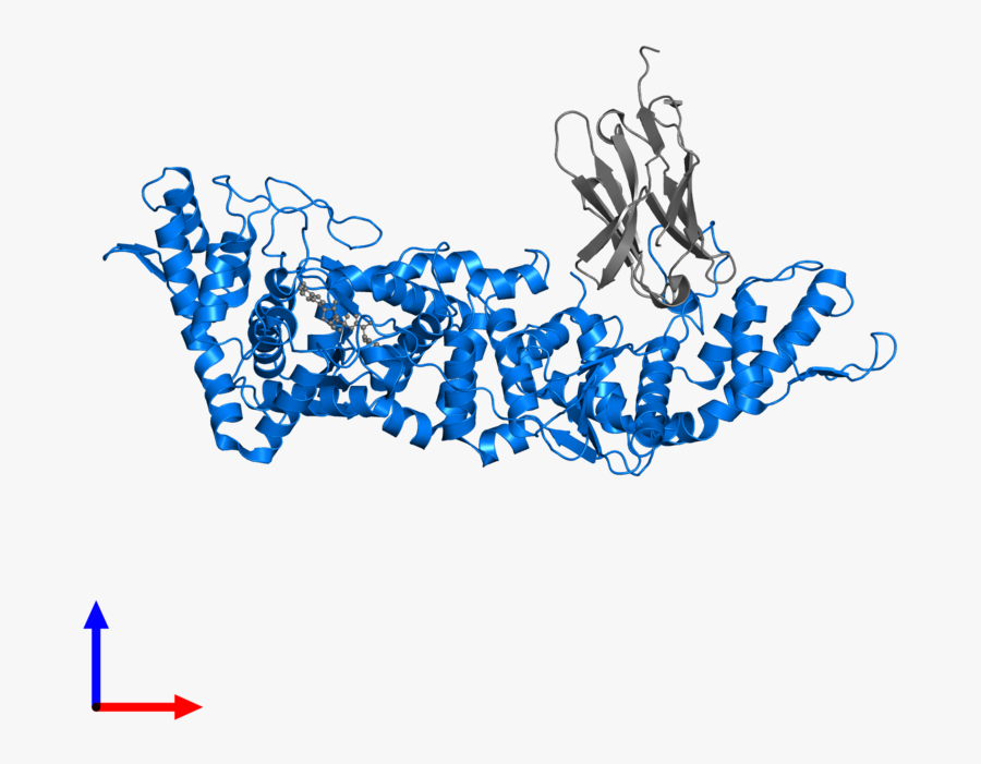 Graphic Design, Transparent Clipart