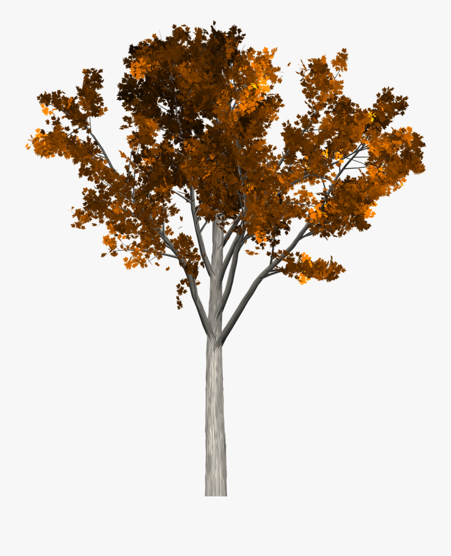 Arboles Otoño Png, Transparent Clipart