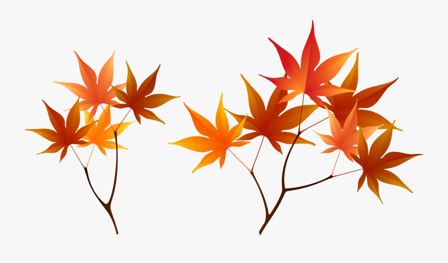 Fall Clipart Branch - Fall Branches Png, Transparent Clipart