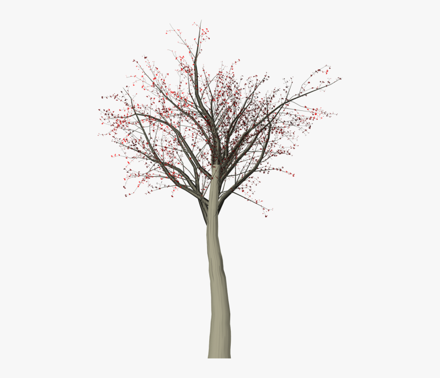 Tree Leaves Autumn - Arbol Sin Hojas Png, Transparent Clipart