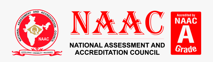 Picture, Transparent Clipart