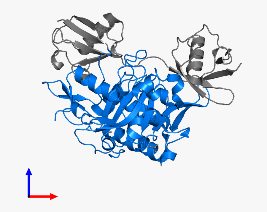 Graphic Design, Transparent Clipart