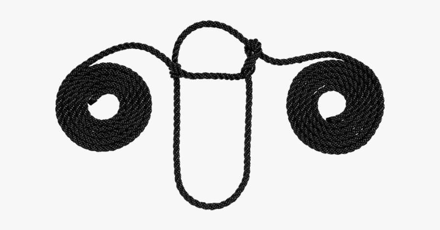 Circle, Transparent Clipart