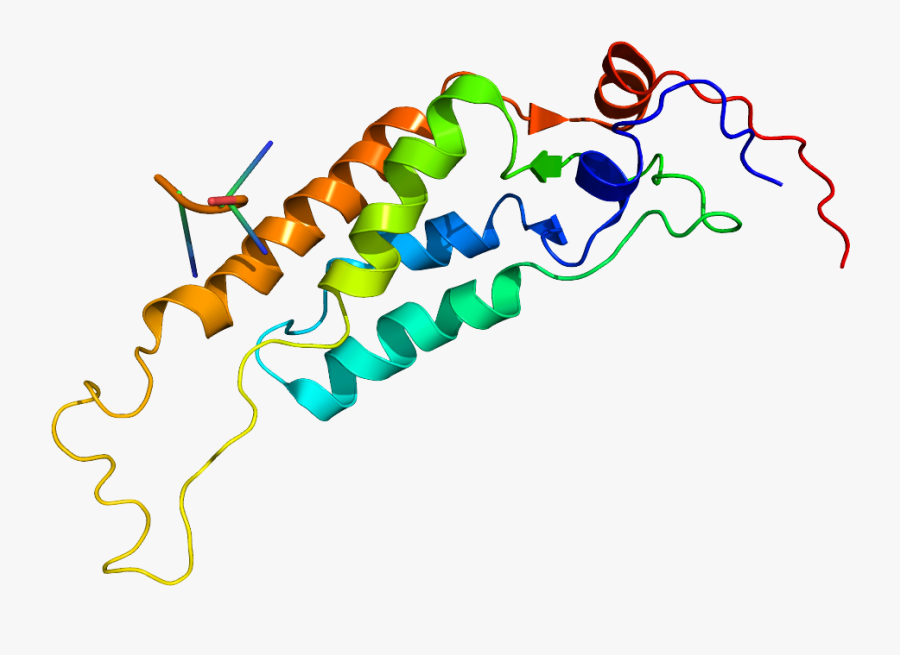 Tobacco Mosaic Virus, Transparent Clipart