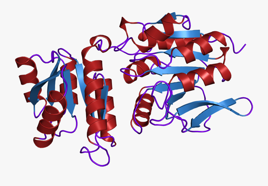 1a2o Structure - Illustration, Transparent Clipart