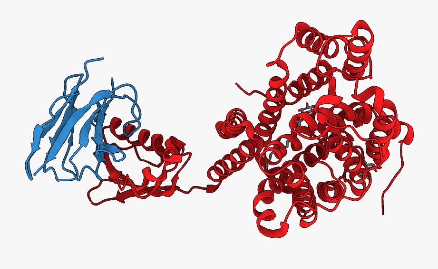 Illustration, Transparent Clipart