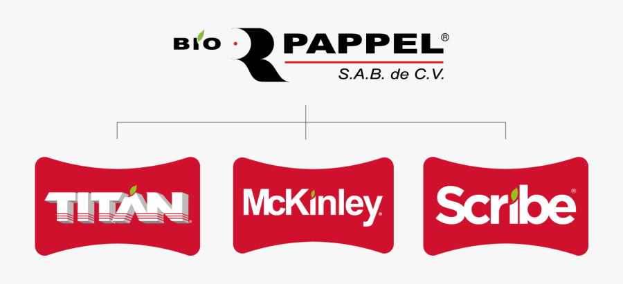 Estructura Organizacional - Bio Pappel, Transparent Clipart