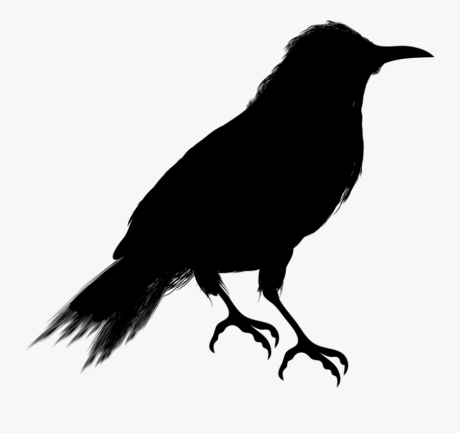 Crow Clip Art Vector Graphics Silhouette Image - Draw A Crow Silhouette, Transparent Clipart