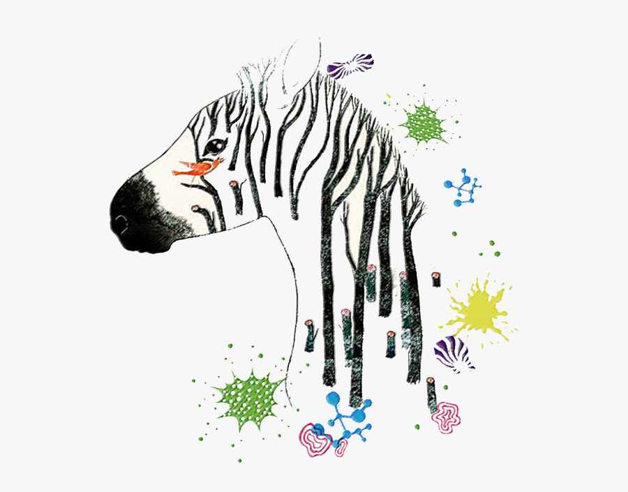 #zebra #zebraprint #zebrahead #zebrastyle #zebracross - Illustration, Transparent Clipart