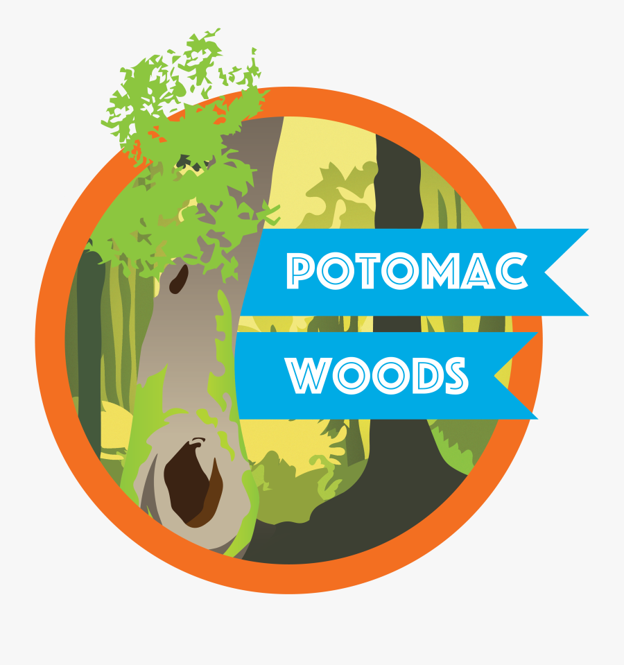 Circle, Transparent Clipart