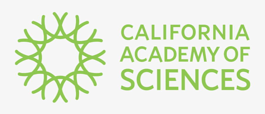 Trefoil-divider - Uk Innovation And Science Seed Fund, Transparent Clipart