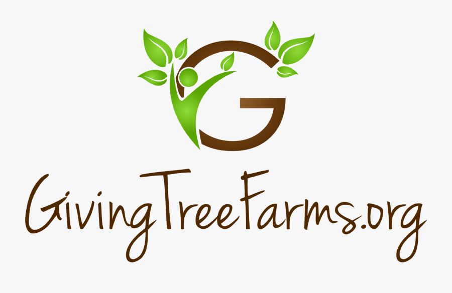 Air Cairo, Transparent Clipart