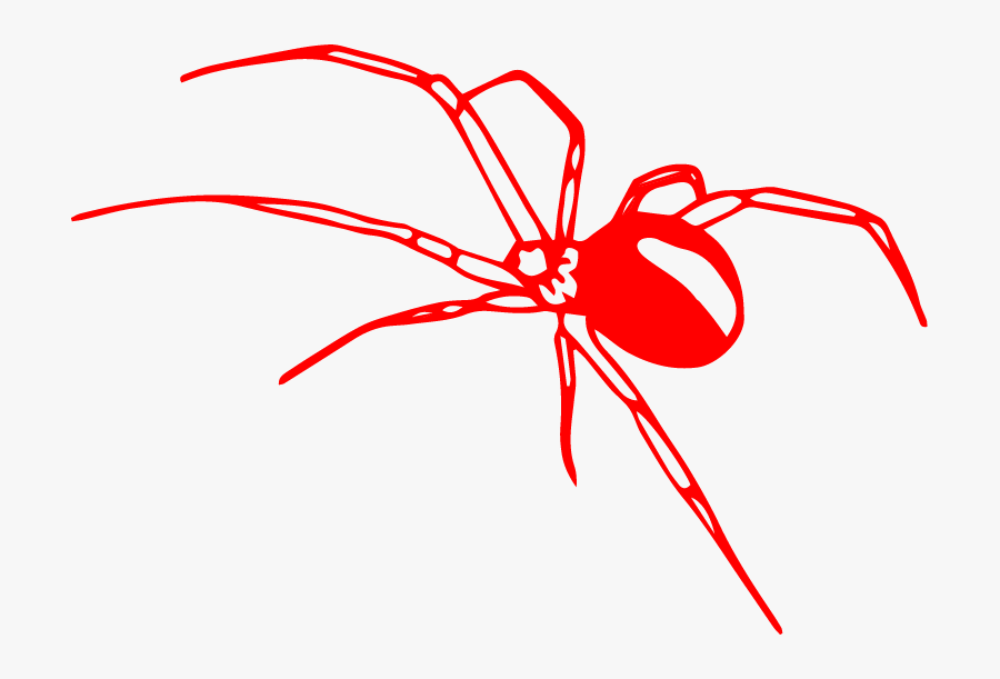 Lily Illustrations 4-06 - Insect, Transparent Clipart