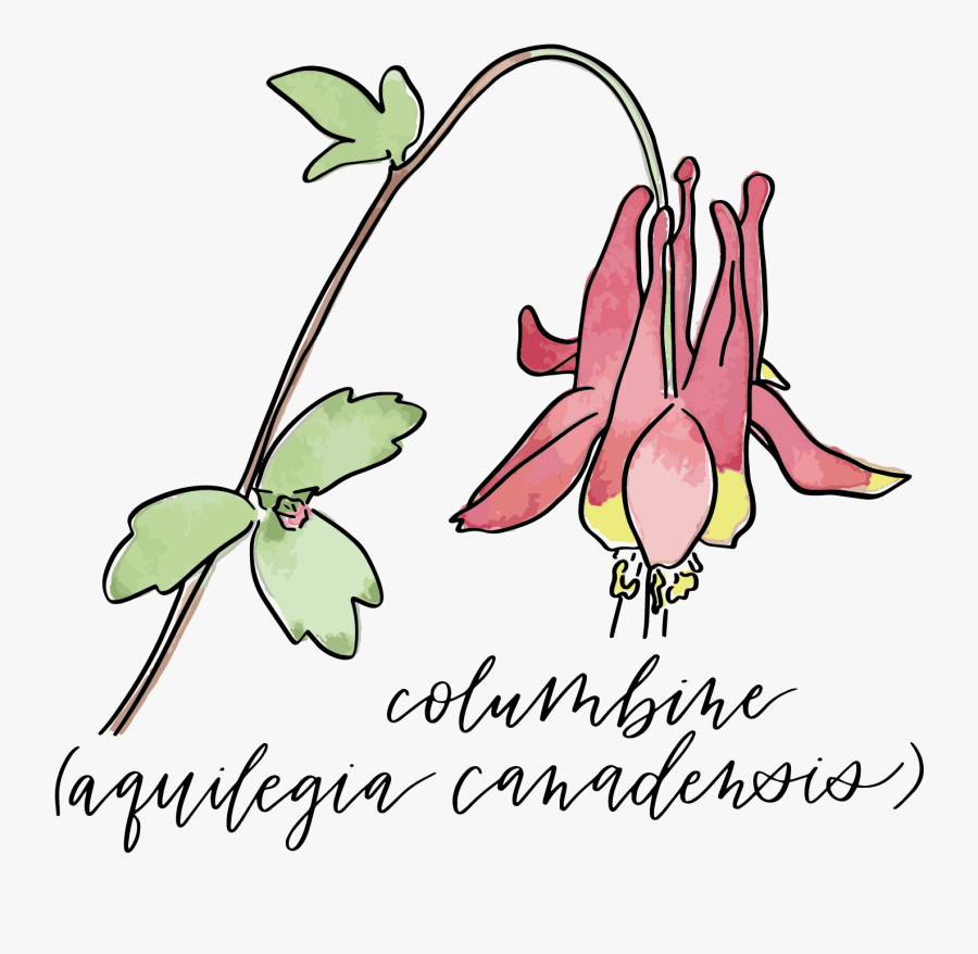 Spot The Wild Flora, Transparent Clipart