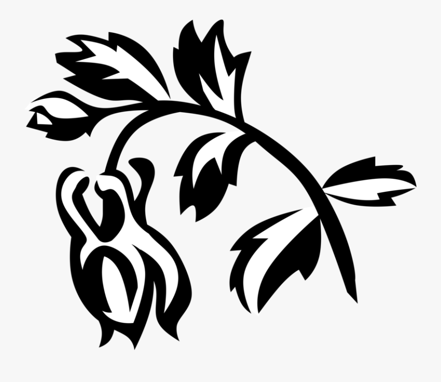 Vector Illustration Of Columbine Perennial Botanical, Transparent Clipart