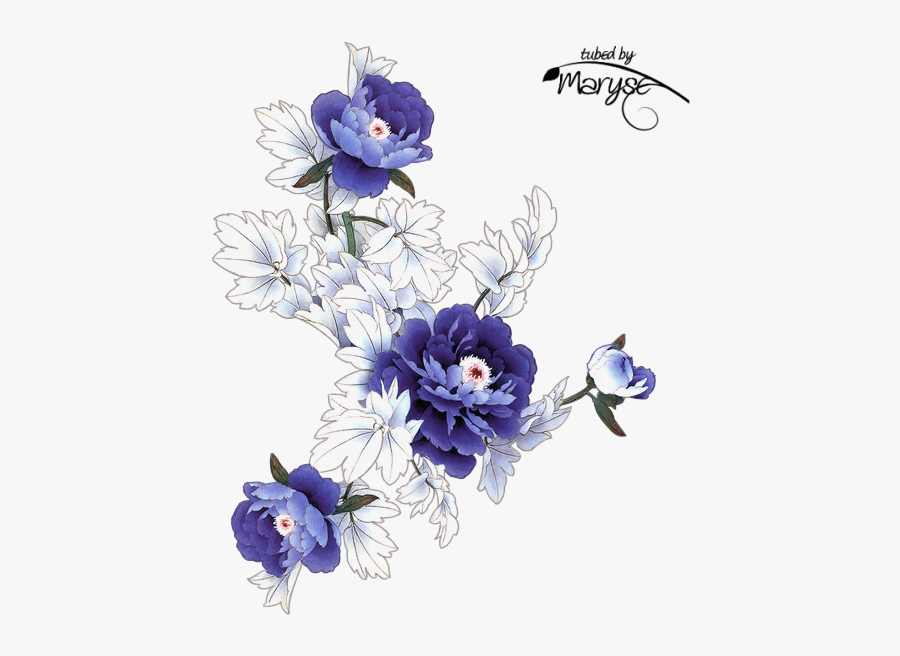 Colorado Blue Columbine - Tubes Psp, Transparent Clipart