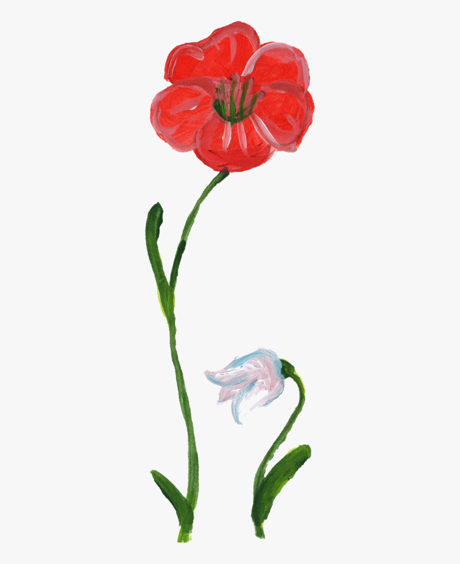 Transparent Flower Paint Png, Transparent Clipart