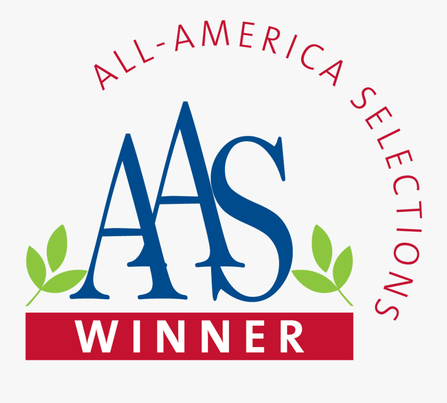 Logo All America Selection Winner, Transparent Clipart