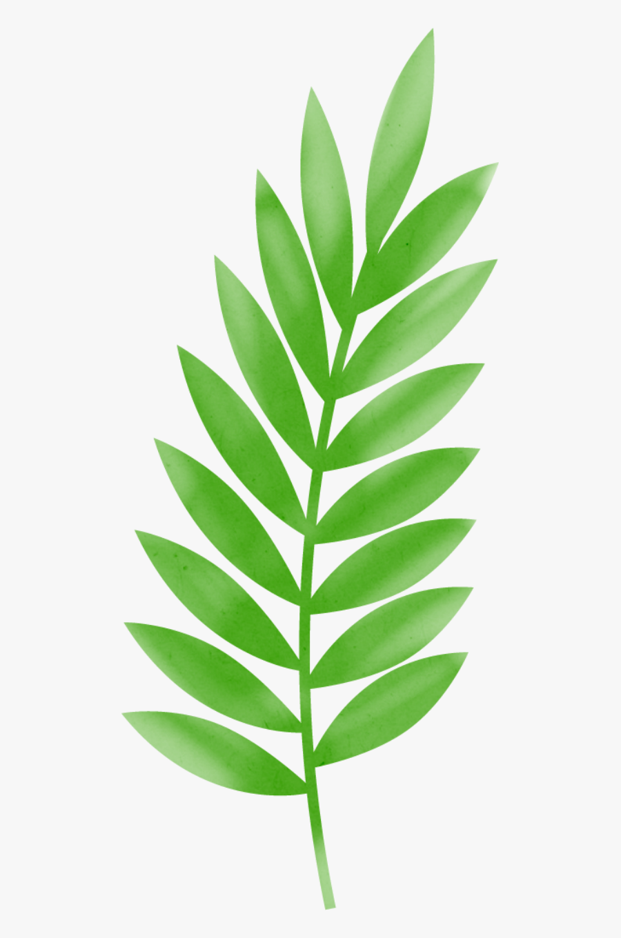 Hojas De Palma Png, Transparent Clipart