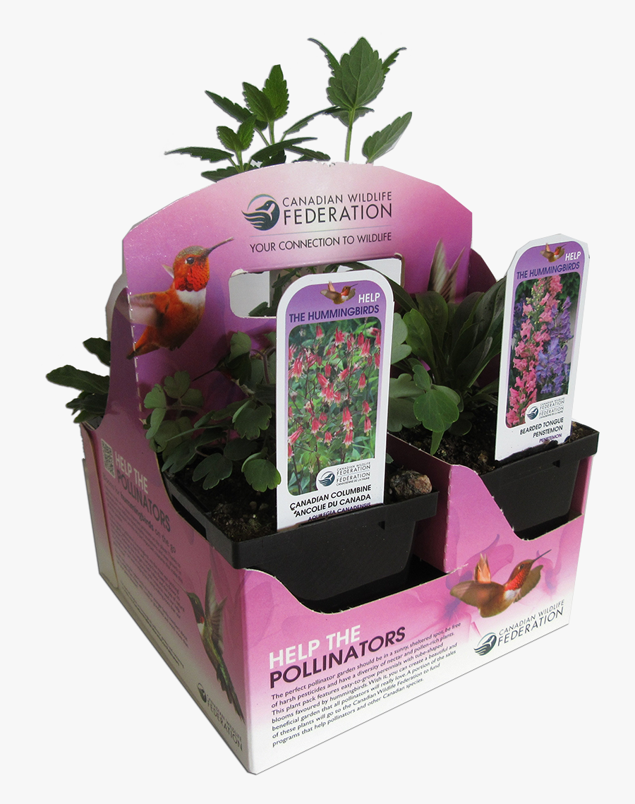 Transparent Flower Png Pack - Canadian Wildlife Federation Plants, Transparent Clipart