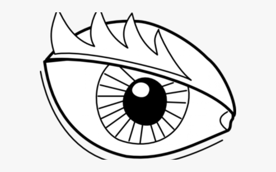 Outline Of The Eye, Transparent Clipart