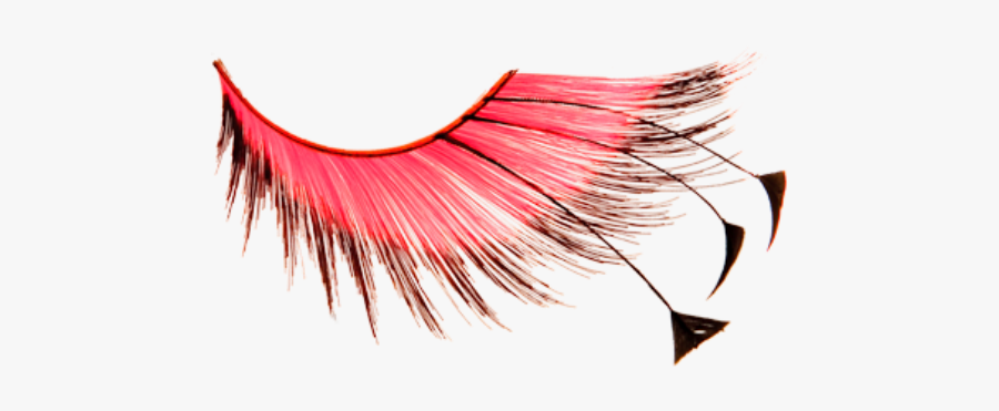 Eyelash Clipart Staches Or Lash - Kryolan Eyelashes, Transparent Clipart