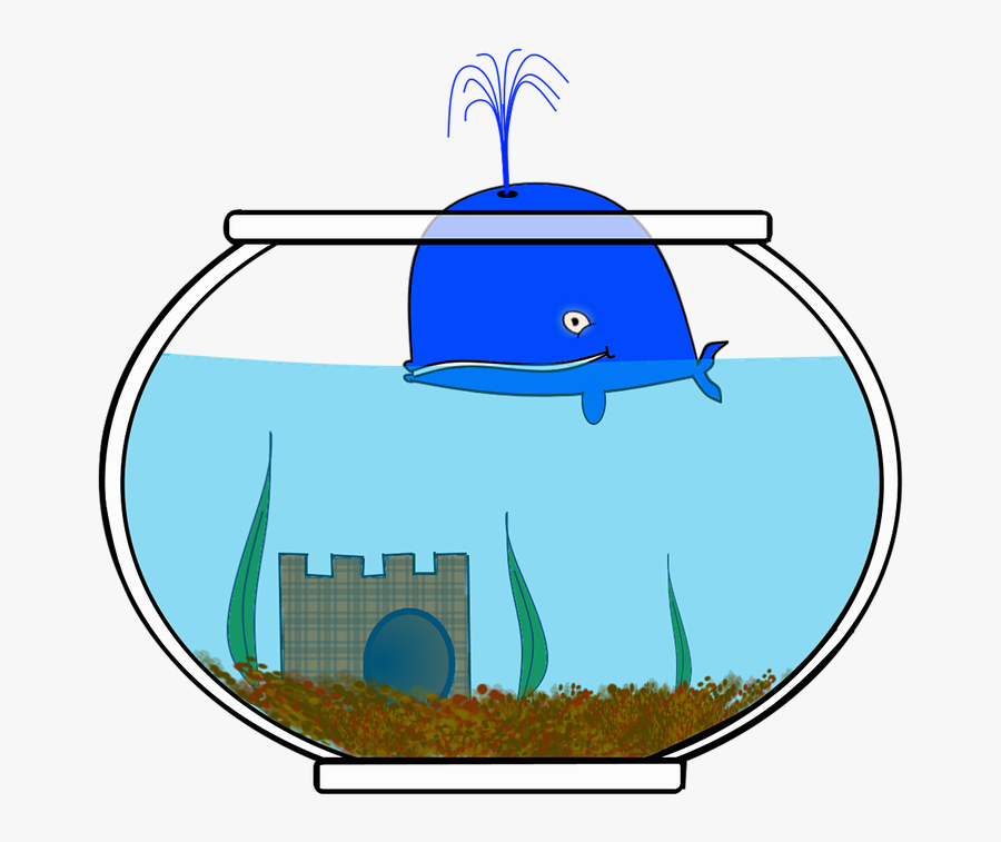Wal, Fish, Small World, Lake, Sea, Aquarium, Glass - Portable Network Graphics, Transparent Clipart