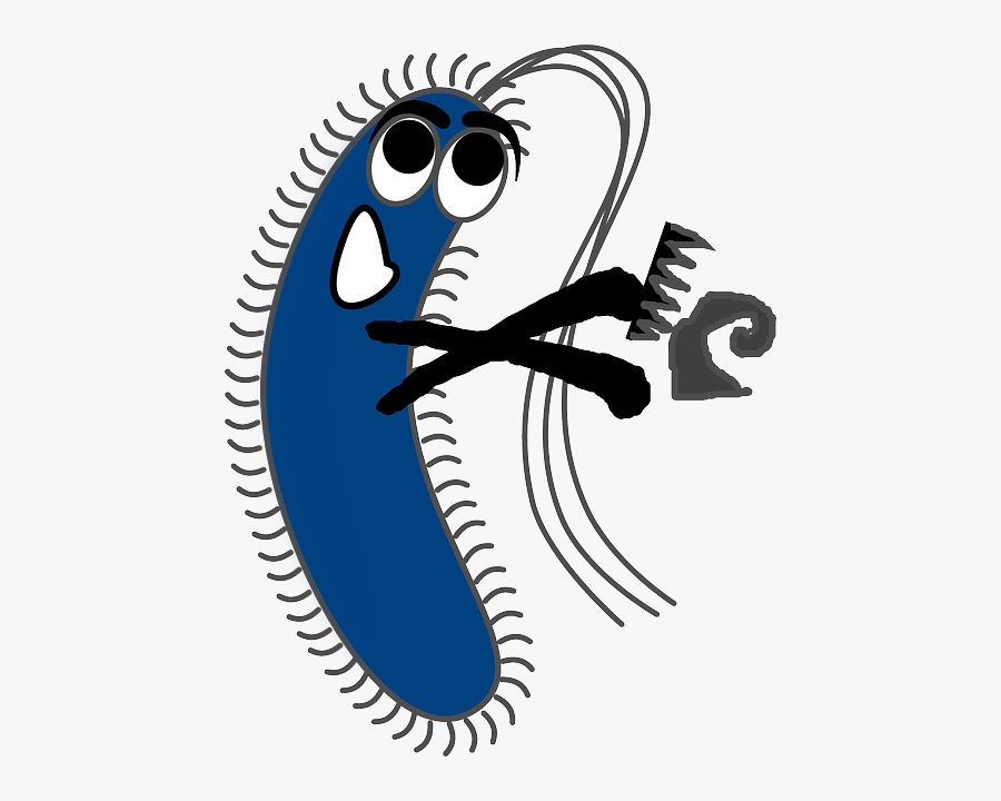 Primary School Play - Gram Negative Bacteria Cartoon, Transparent Clipart