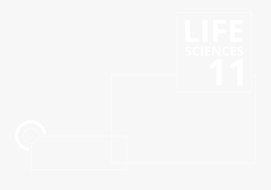 Johns Hopkins White Logo, Transparent Clipart