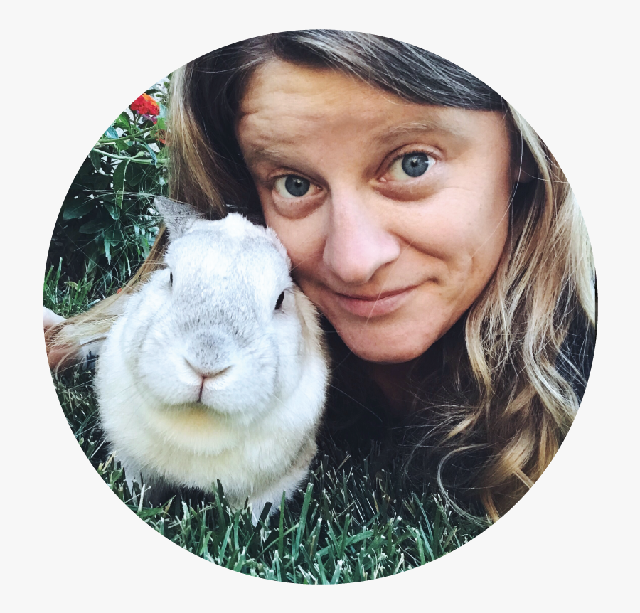 Domestic Rabbit, Transparent Clipart