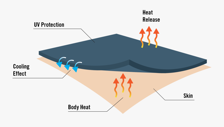 Diagram, Transparent Clipart