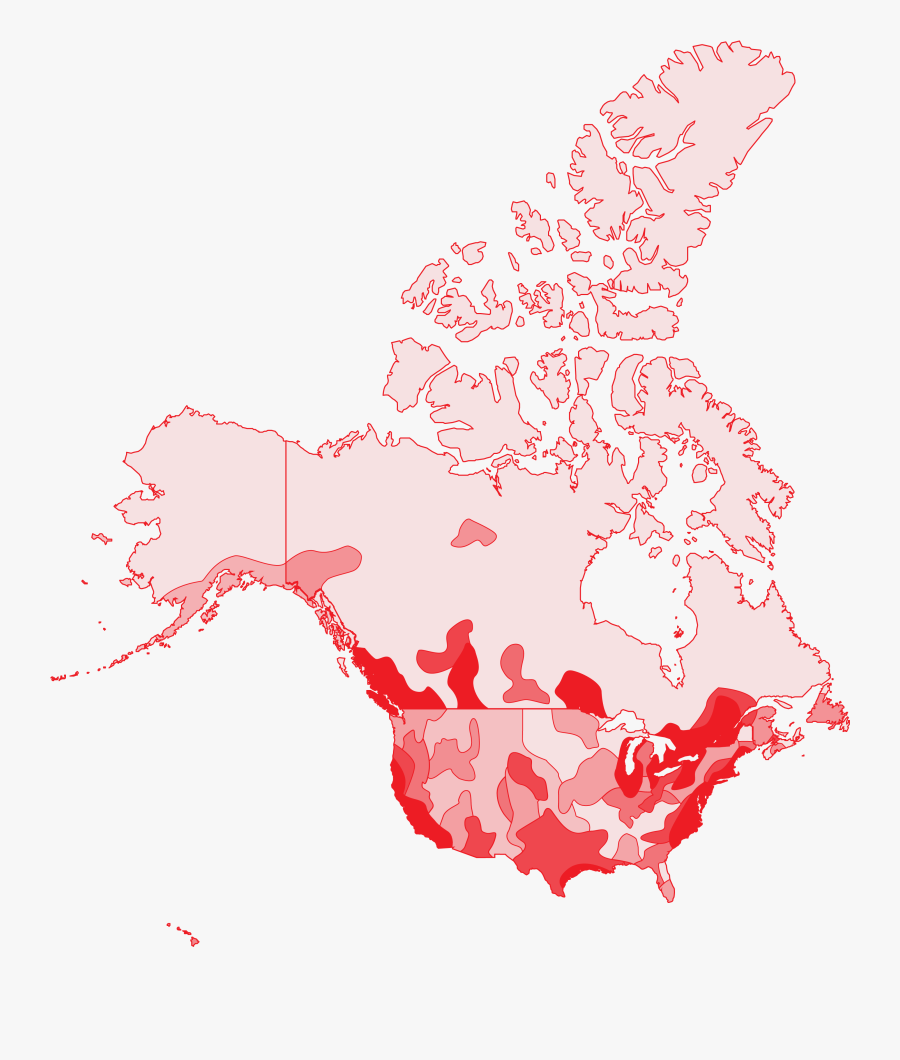 Bed Bug Map Canada, Transparent Clipart