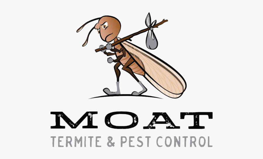 Wood Type Fonts, Transparent Clipart