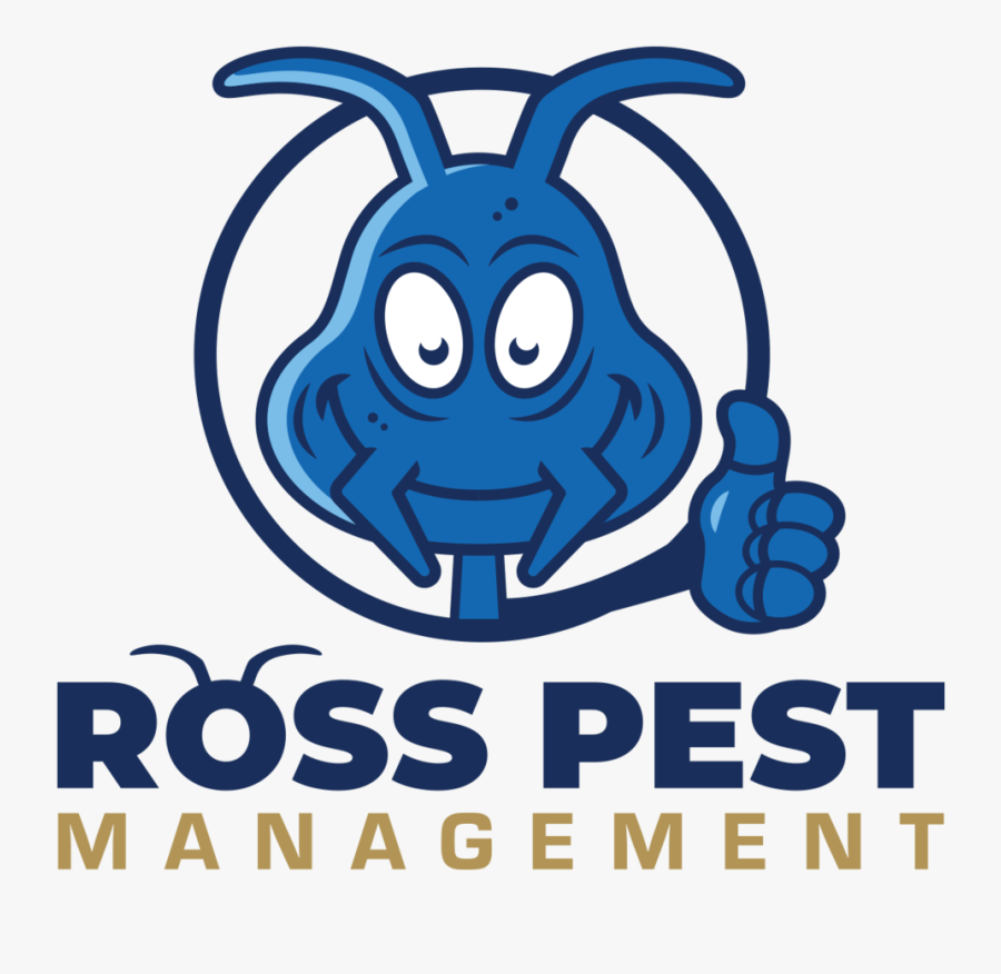 Bed Bug Clip Art, Transparent Clipart