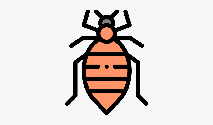 Leaf Beetle, Transparent Clipart