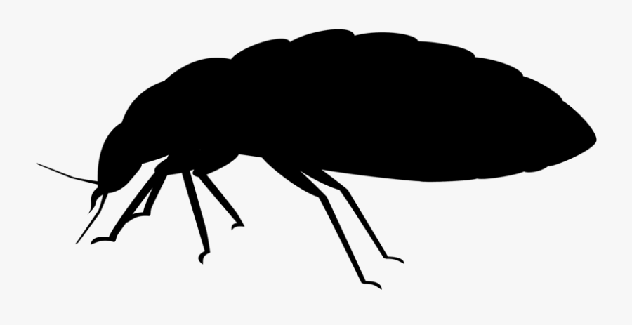 Bed Bug Removal Jiminey Kricket Exterminating - Silhouette Punaise De Lit, Transparent Clipart