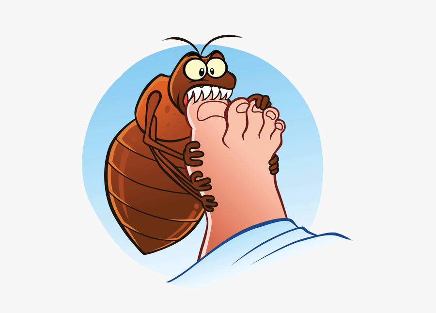 Bed Bug Exterminator Hamilton - Dont Let The Bed Bugs Bite, Transparent Clipart