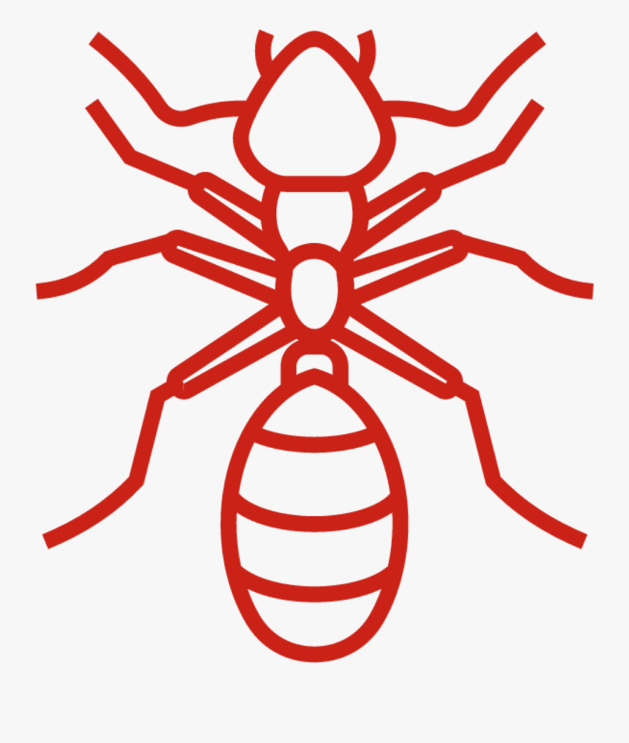 Bed Bugs Are Often Unaware Of Home Owners Diy Remedies, Transparent Clipart