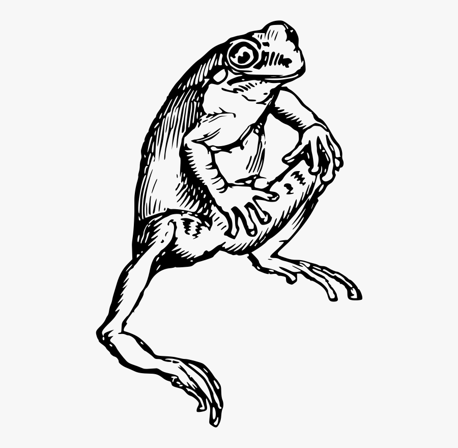 Amphibian Drawing Black And White, Transparent Clipart