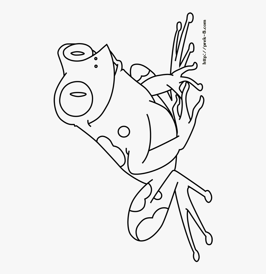 Clip Art Frog Coloring Book, Transparent Clipart