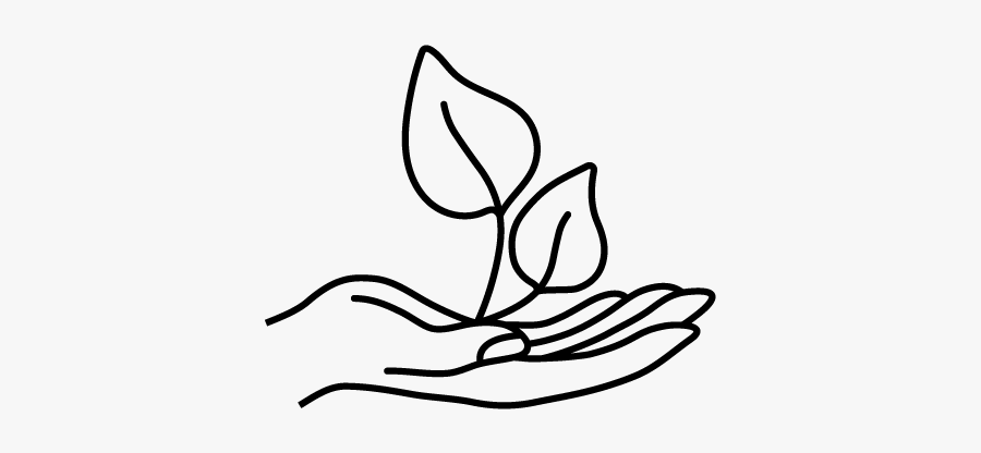 Line Art, Transparent Clipart