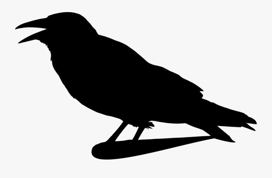 Crow, Raven, Silhouette, Isolated, Bird, Black, Animal - Crow Clip Art, Transparent Clipart