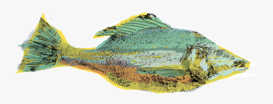 Humpback Whale, Transparent Clipart