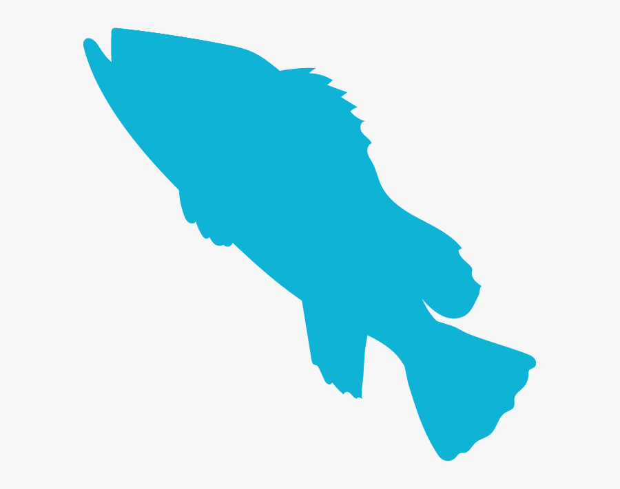 Grouper, Transparent Clipart