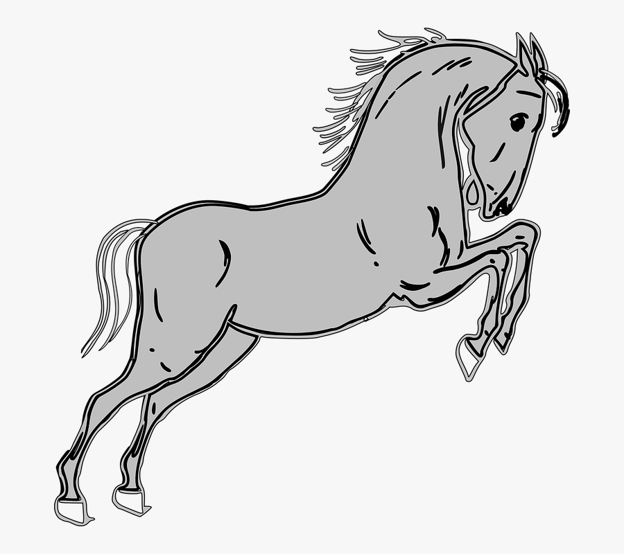 Transparent Horse Jump Clipart - Jumping Horses Clipart, Transparent Clipart