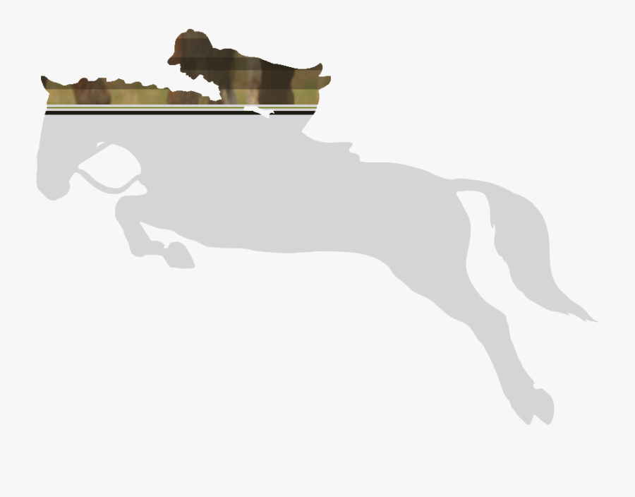 Horse Jumping Silhouette Png, Transparent Clipart