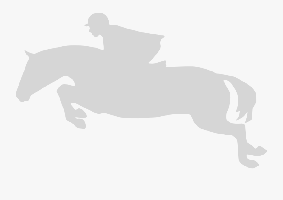 Stallion, Transparent Clipart