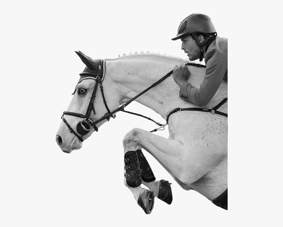 Event-image - Mare, Transparent Clipart