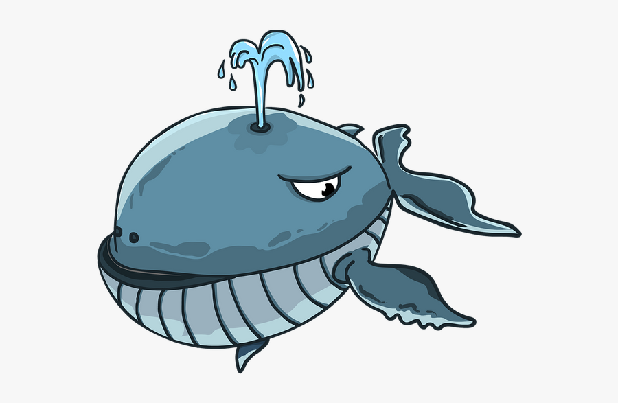 Sperm Whale Cartoon, Transparent Clipart