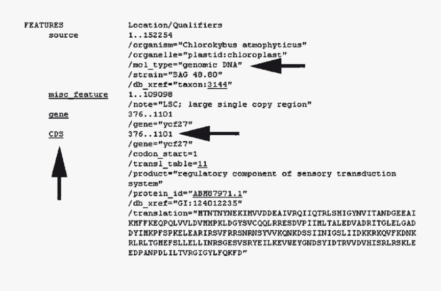 Document, Transparent Clipart